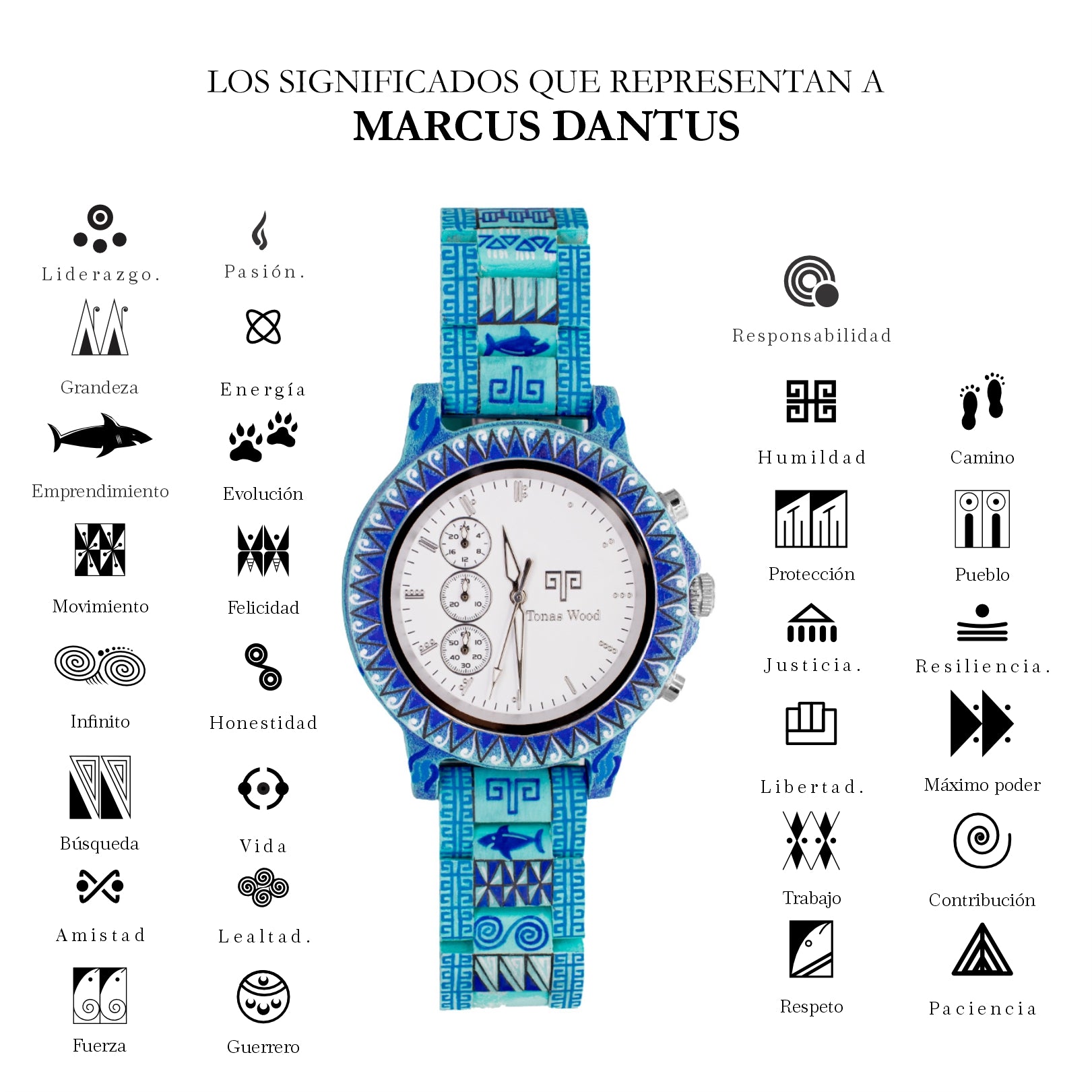 Shark Collection | Marcus Dantus